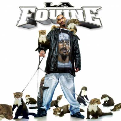 la fouine 78